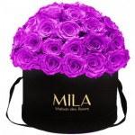  Mila-Roses-01581 Mila Classique Large Dome Black - Violin