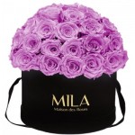  Mila-Roses-01582 Mila Classique Large Dome Black - Mauve