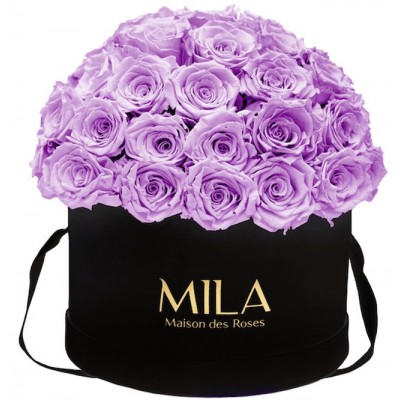 Produit Mila-Roses-01583 Mila Classique Large Dome Black - Lavender