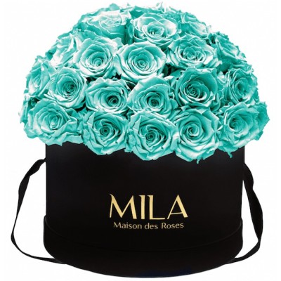 Produit Mila-Roses-01585 Mila Classique Large Dome Black - Aquamarine