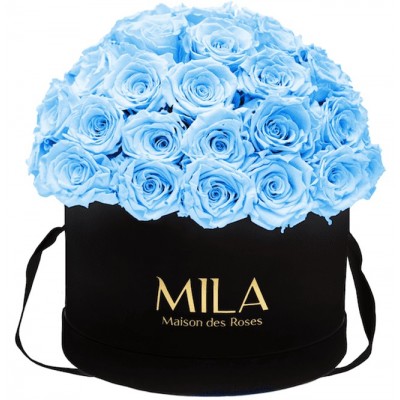 Produit Mila-Roses-01586 Mila Classique Large Dome Black - Baby blue