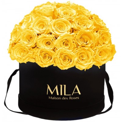 Produit Mila-Roses-01587 Mila Classique Large Dome Black - Yellow Sunshine