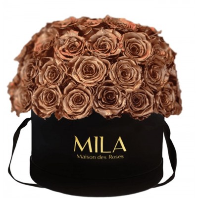 Produit Mila-Roses-01588 Mila Classique Large Dome Black - Metallic Copper