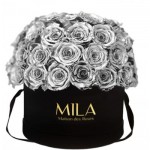  Mila-Roses-01589 Mila Classique Large Dome Black - Metallic Silver