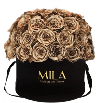 Produit Mila-Roses-01590 Mila Classique Large Dome Black - Metallic Gold