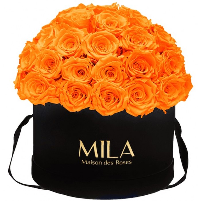 Mila Classique Large Dome Black - Orange Bloom