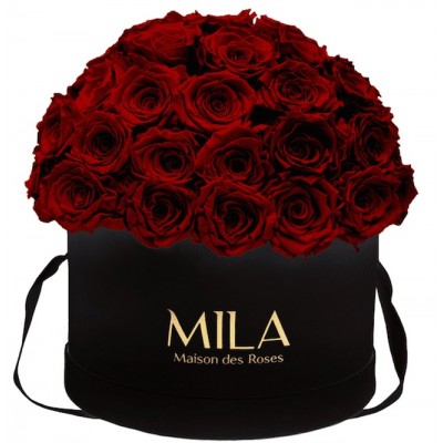 Produit Mila-Roses-01593 Mila Classique Large Dome Black - Rubis Rouge