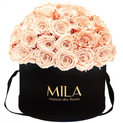 Produit Mila-Roses-01595 Mila Classique Large Dome Black - Pure Peach