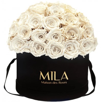 Produit Mila-Roses-01599 Mila Classique Large Dome Black - White Cream
