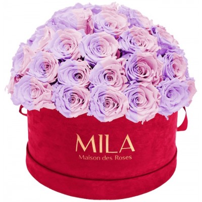 Produit Mila-Roses-01603 Mila Classique Large Dome Burgundy - Vintage rose