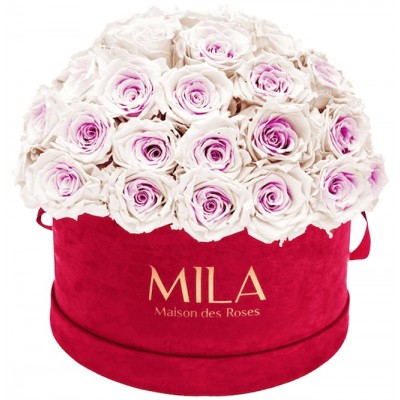 Produit Mila-Roses-01604 Mila Classique Large Dome Burgundy - Pink bottom