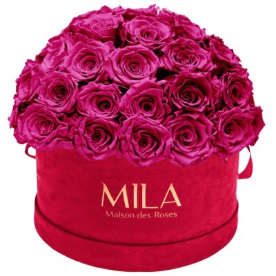 Produit Mila-Roses-01606 Mila Classique Large Dome Burgundy - Fuchsia