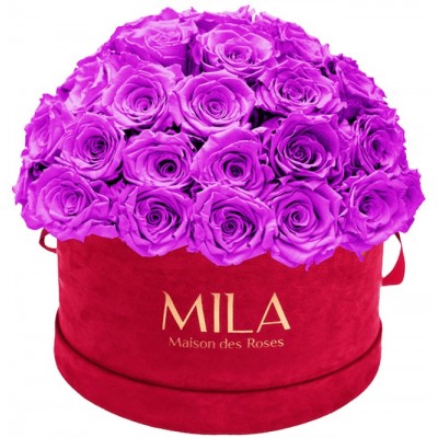 Produit Mila-Roses-01608 Mila Classique Large Dome Burgundy - Violin