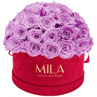 Produit Mila-Roses-01609 Mila Classique Large Dome Burgundy - Mauve
