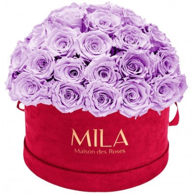 Produit Mila-Roses-01610 Mila Classique Large Dome Burgundy - Lavender