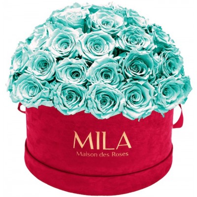 Produit Mila-Roses-01612 Mila Classique Large Dome Burgundy - Aquamarine