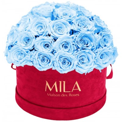 Produit Mila-Roses-01613 Mila Classique Large Dome Burgundy - Baby blue