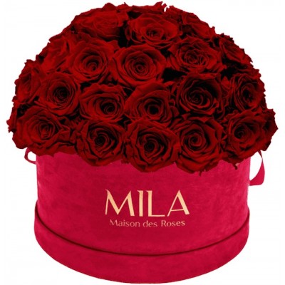 Produit Mila-Roses-01620 Mila Classique Large Dome Burgundy - Rubis Rouge