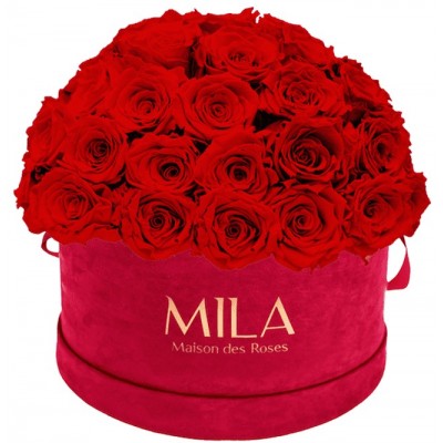 Produit Mila-Roses-01621 Mila Classique Large Dome Burgundy - Rouge Amour