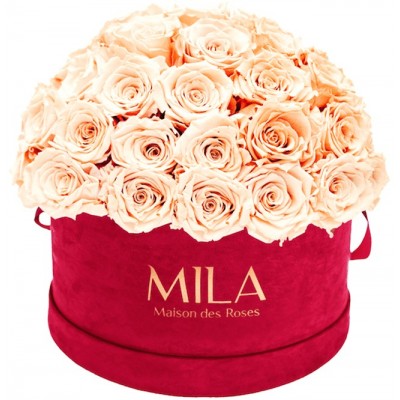 Produit Mila-Roses-01622 Mila Classique Large Dome Burgundy - Pure Peach