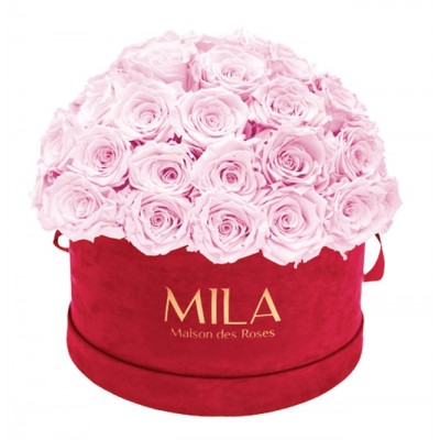 Produit Mila-Roses-01623 Mila Classique Large Dome Burgundy - Pink Blush
