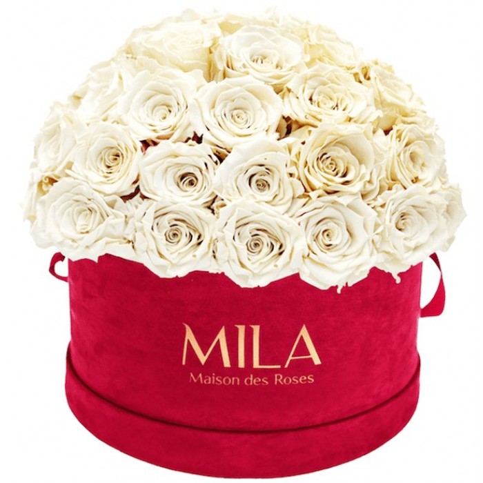 Mila Classique Large Dome Burgundy - White Cream