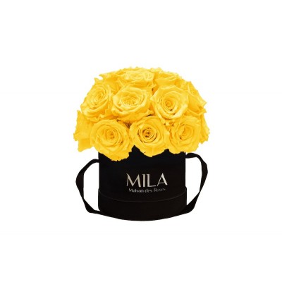 Produit Mila-Roses-01668 Mila Classique Small Dome Black - Yellow Sunshine