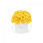 Mila-Roses-01695 Mila Classique Small Dome White - Yellow Sunshine