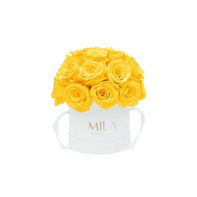 Produit Mila-Roses-01695 Mila Classique Small Dome White - Yellow Sunshine