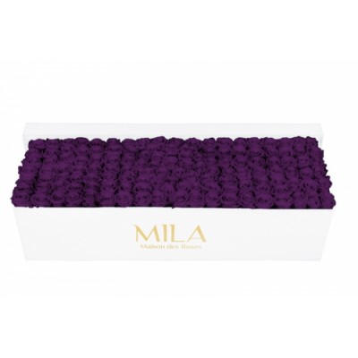 Produit Mila-Roses-01715 Mila Classic Royal White - Velvet purple