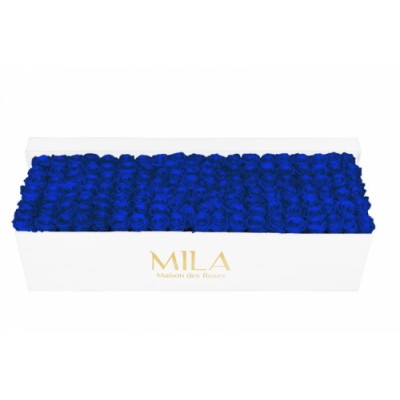 Produit Mila-Roses-01719 Mila Classic Royal White - Royal blue