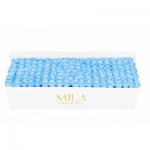  Mila-Roses-01721 Mila Classic Royal White - Baby blue