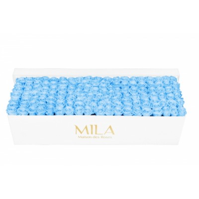 Produit Mila-Roses-01721 Mila Classic Royal White - Baby blue