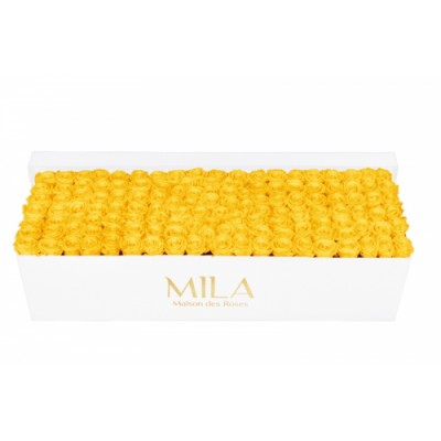 Produit Mila-Roses-01722 Mila Classic Royal White - Yellow Sunshine