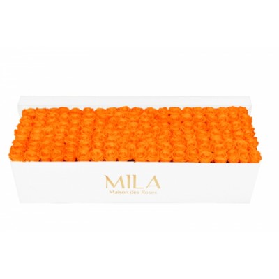 Produit Mila-Roses-01727 Mila Classic Royal White - Orange Bloom