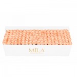  Mila-Roses-01730 Mila Classic Royal White - Pure Peach