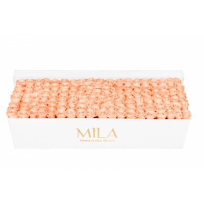 Produit Mila-Roses-01730 Mila Classic Royal White - Pure Peach