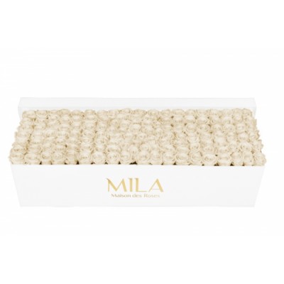 Produit Mila-Roses-01734 Mila Classic Royal White - White Cream