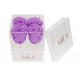 Mila Acrylic Mini Bijou - Lavender