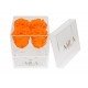 Mila Acrylic Mini Bijou - Orange Bloom