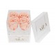 Mila Acrylic Mini Bijou - Pure Peach