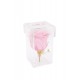 Mila Acrylic Single Stem - Pink Blush