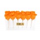 Mila Acrylic Table - Orange Bloom