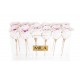 Mila Acrylic Table - Pink bottom