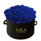Mila Classic Large Black - Royal blue