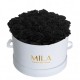 Mila Classic Large White - Black Velvet