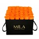 Mila Classic Luxe Black - Orange Bloom