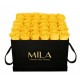 Mila Classic Luxe Black - Yellow Sunshine
