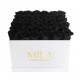 Mila Classic Luxe White - Black Velvet
