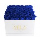 Mila Classic Luxe White - Royal blue